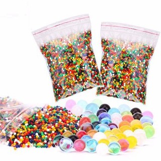 Hạt nở Nhật Bản Làm Slime Hoặc Trồng Cây - Nguyên liệu làm slime - Ảnh 2