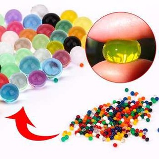 Hạt nở Nhật Bản Làm Slime Hoặc Trồng Cây - Nguyên liệu làm slime - Ảnh 3