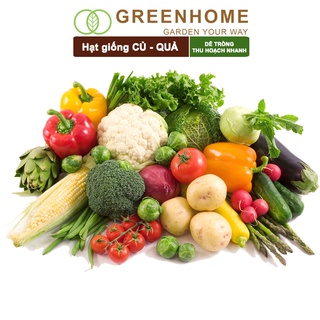 Hạt giống củ, quả các loại, trồng chậu, dễ trồng, chịu nhiệt, trồng quanh năm, năng suất cao | Greenhome