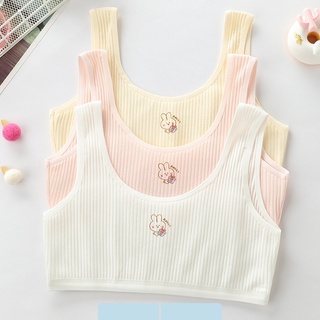 Áo lót lá cho bé gái sét áo Bra size đại từ 30 đến 60kg - Ảnh 3