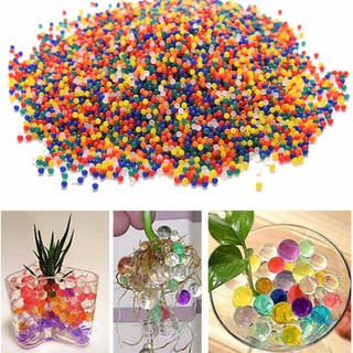 Hạt nở Nhật Bản Làm Slime Hoặc Trồng Cây - Nguyên liệu làm slime - Ảnh 4