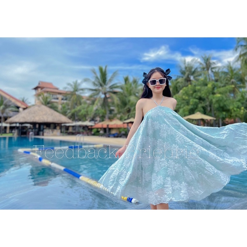 Đầm xoè cổ yếm cao cấp chất liệu organza thêu hoa , sang chảnh - 262 - Ảnh 3