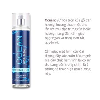 Xịt Thơm body Mist Nam 236 Mùi thơm đa Dạng Beautycn - Ảnh 5