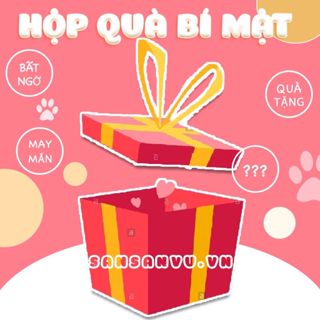 Quà tặng bí mật 11/11 - San San Vũ