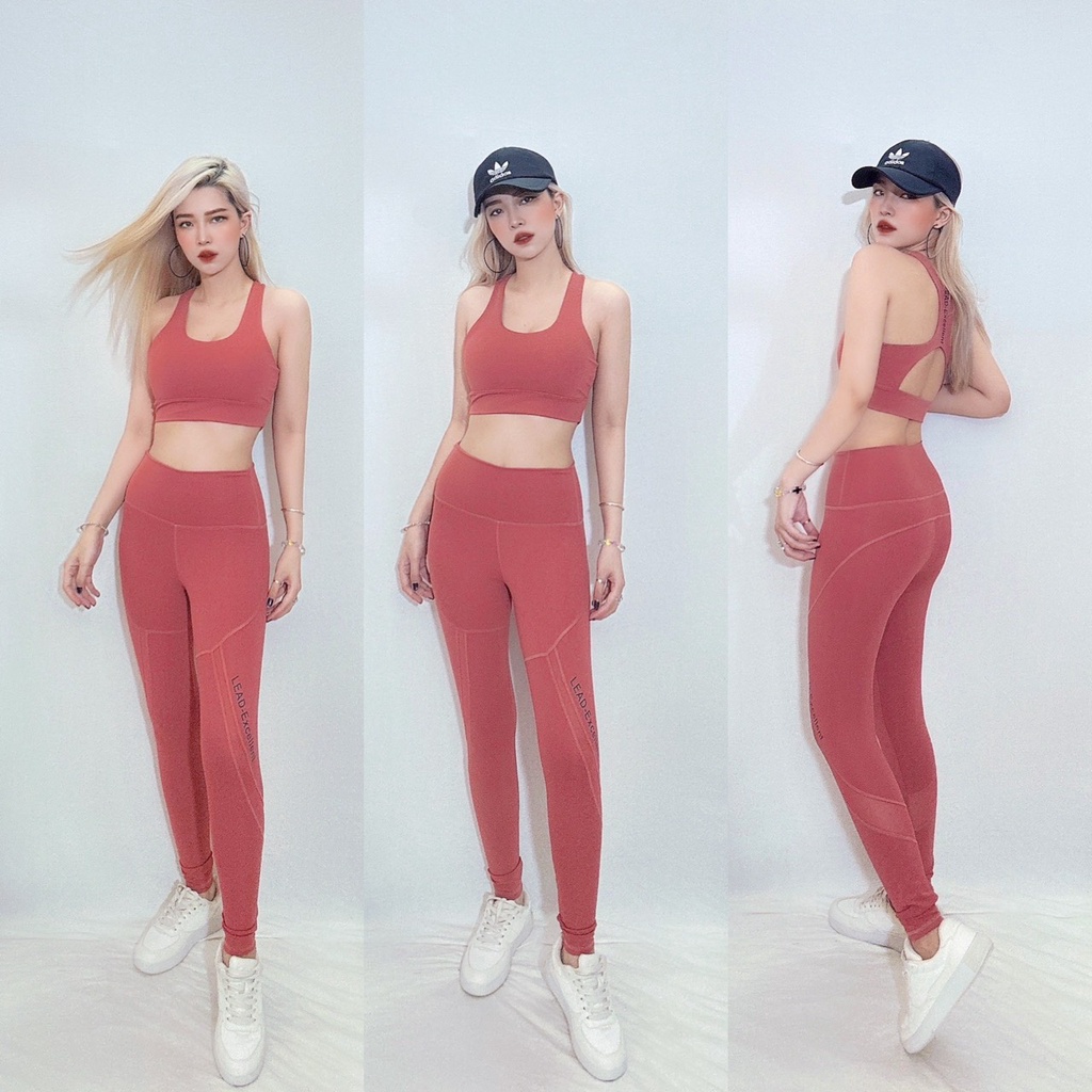 Bộ quần áo tập gym nữ phối lưới Lead, đồ thể thao yoga, erobic nữ có mút đệm ngực-