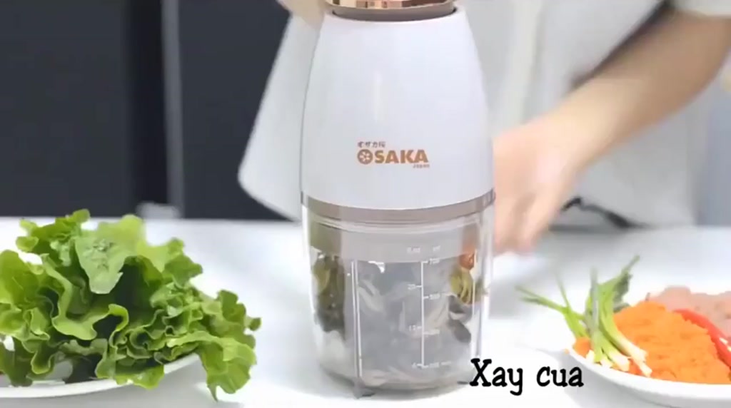 Máy Xay Sinh Tố Đa Năng Osaka - Máy Xay Thịt Cá, Xay Đá Chính Hãng Osaka Mẫu Mới Nắp Đồng - Ảnh 2