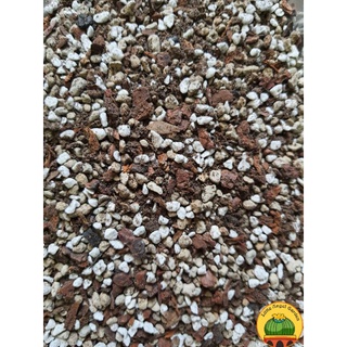 500g giá thể, đất trồng sen đá xương rồng  Giá thể siêu thoát nước  Sản phẩm của vườn