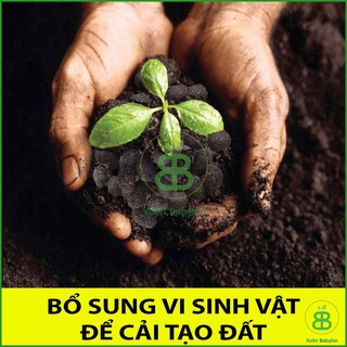 Phân Dê Túi Lưới Cho Lan Đã Xử Lý 10cm - 15cm - 20cm