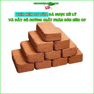 Viên nén xơ dừa đất trồng cây thân thiện với môi trường shop GIONGHATRAU