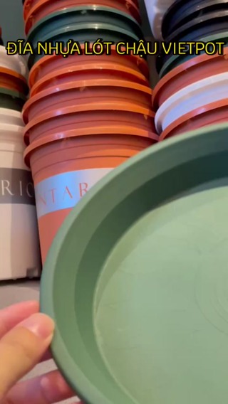 - Đĩa Nhựa Lót Chậu VIETPOT Màu XANH 7 Size, Loại Hàng Mỏng, Nhựa Nguyên Sinh Dẻo Dai Đảm Bảo Công Năng Lót Chậu - Ảnh 2
