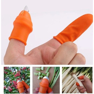 Găng tay bấm, ngắt, hái rau chuyên dụng, bộ móng hái rau tiện lợi, bô móng hái rau 4 ngón dùng cho nam và nữ