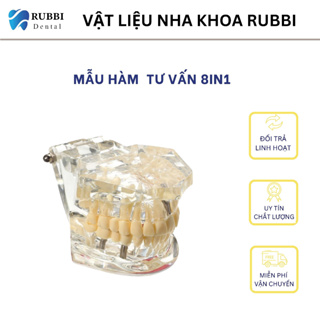 Mẫu hàm tư vấn 8in1 đầy đủ các bệnh lý trong nha khoa - Phòng khám nào cũng cần có
