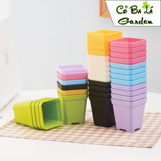 chậu nhựa vuông mini,7x7,9x9,11x9,5