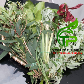 Bộ lá xông tươi 9 loại thảo dược công dụng tức thì hạ sốt giải cảm hết mệt mỏi - Ảnh 2