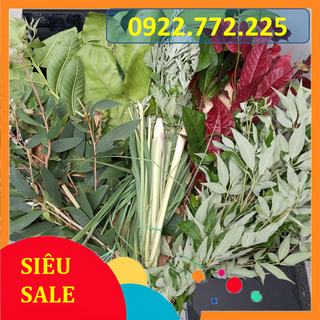 Bộ lá xông tươi 9 loại thảo dược công dụng tức thì hạ sốt giải cảm hết mệt mỏi