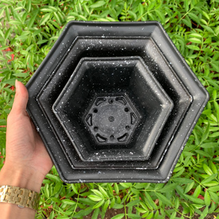 Chậu lục giác đá đen nhiều size nhựa dày cứng
