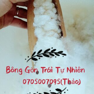 Compo 3 ký bông gòn tự nhiên 100   ko pha trộn tạp chất