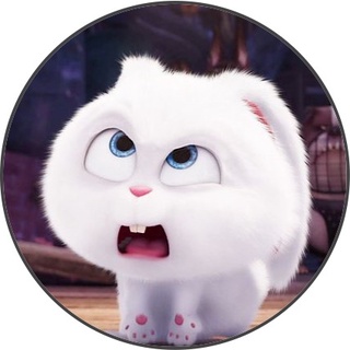 Thỏ trắng Snowball siêu cấp đáng yêu - Ảnh 2