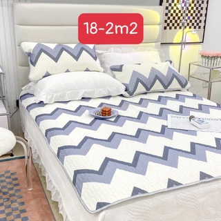 Chiếu Điều Hoà Cao Su Non 5D CHIC STUDIO Mát Mềm Mịn Nhập Khẩu Giá Rẻ