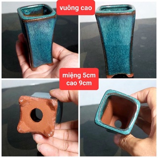 Chậu Trồng Sen Đá, Cây Mini Men Hỏa Biến Gốm Bát Tràng Hb 08
