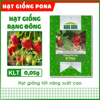 Hạt Giống Dâu Tây Etna  - Hạt Giống Rạng Đông