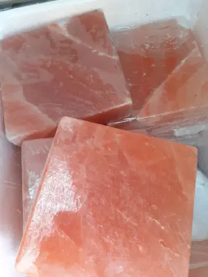 Nơi nhập dữ liệu