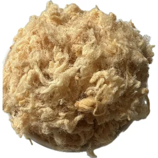 Nơi nhập dữ liệu