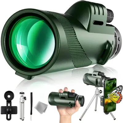 Nơi nhập dữ liệu