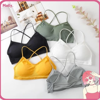 Nơi nhập dữ liệu