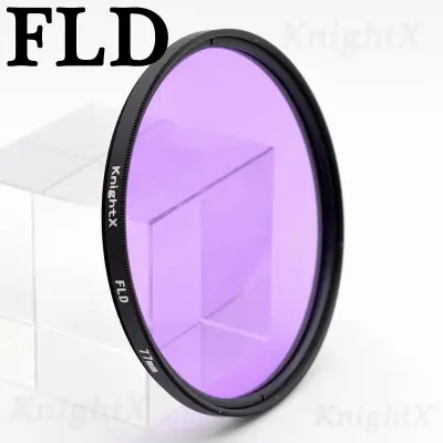 Nơi nhập dữ liệu