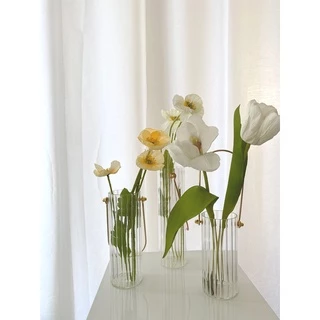 Nơi nhập dữ liệu
