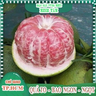 Nơi nhập dữ liệu
