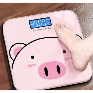 Nơi nhập dữ liệu