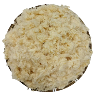 Nơi nhập dữ liệu