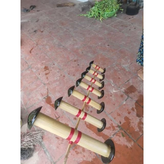 Nơi nhập dữ liệu