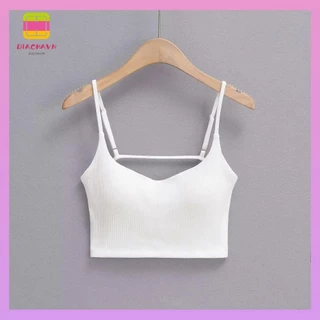 Nơi nhập dữ liệu