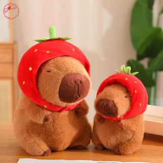 Nơi nhập dữ liệu