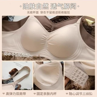 Nơi nhập dữ liệu