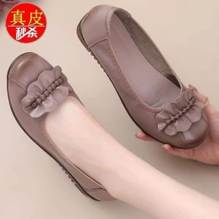 Nơi nhập dữ liệu