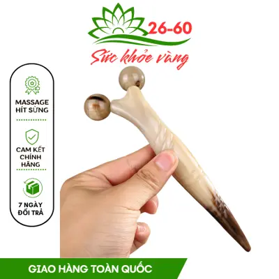 Nơi nhập dữ liệu