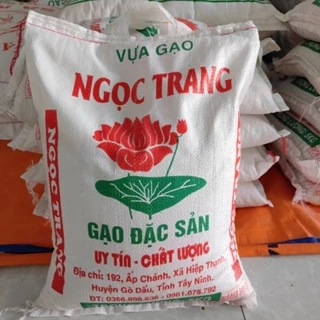 Nơi nhập dữ liệu