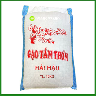 Nơi nhập dữ liệu
