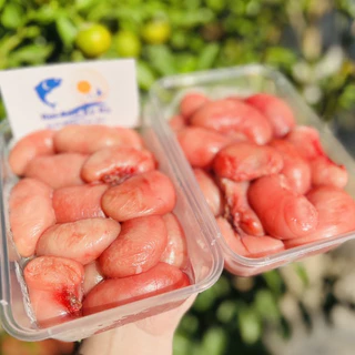 Nơi nhập dữ liệu