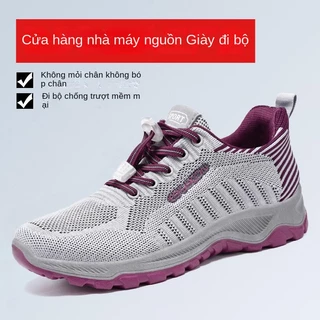 Nơi nhập dữ liệu