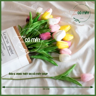 Nơi nhập dữ liệu
