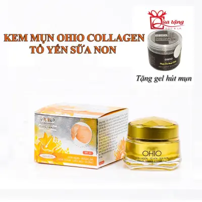 Nơi nhập dữ liệu