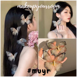 Nơi nhập dữ liệu
