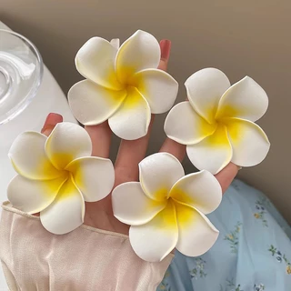 Nơi nhập dữ liệu