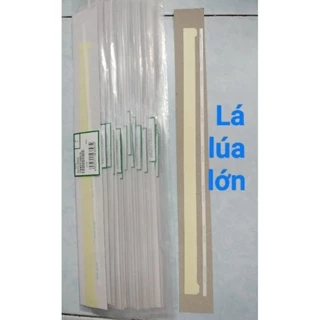 Nơi nhập dữ liệu