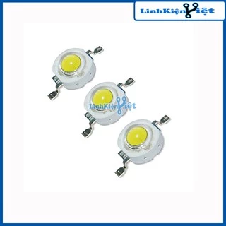 Nơi nhập dữ liệu